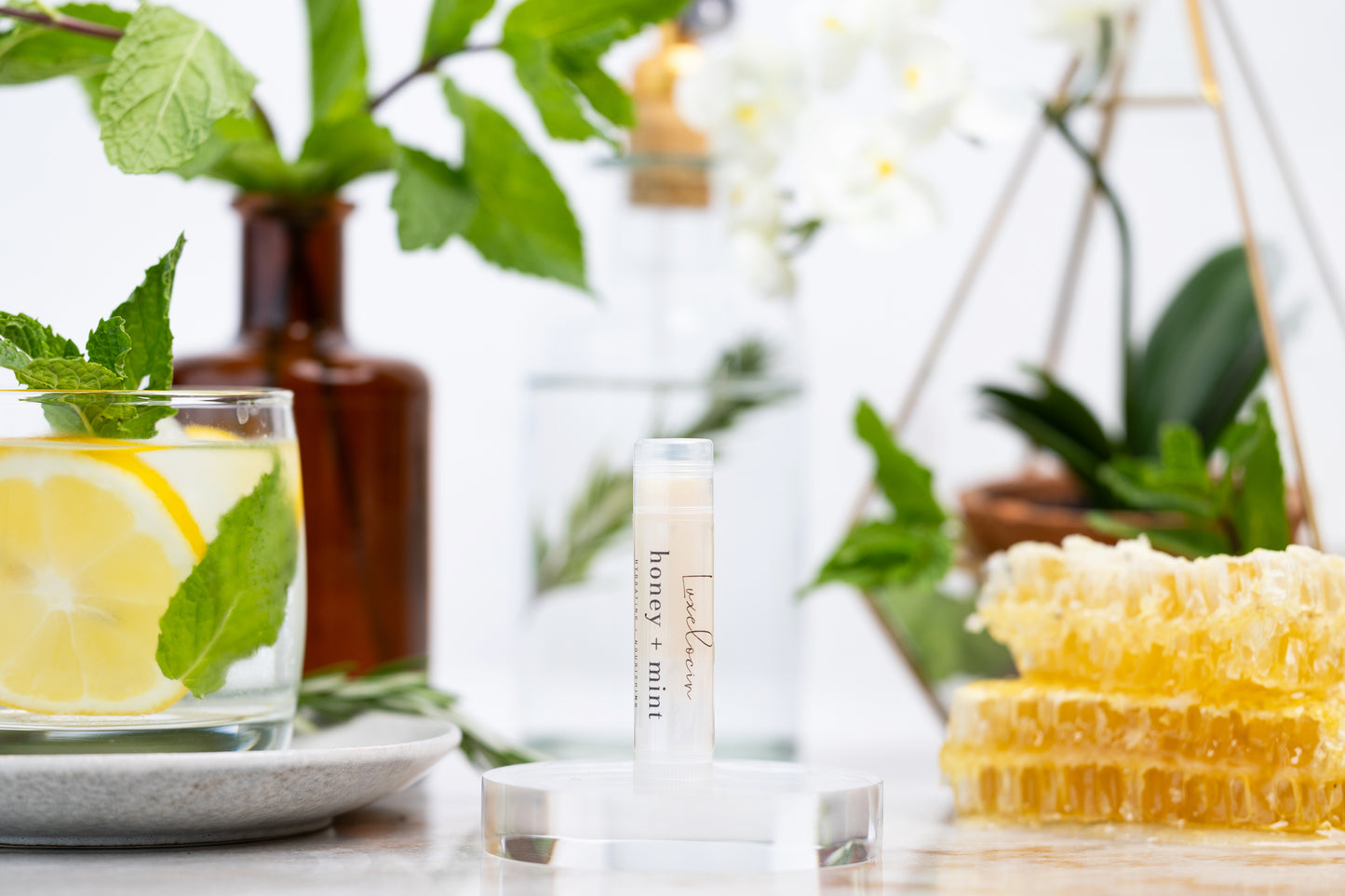 Honey + Mint Lip Balm