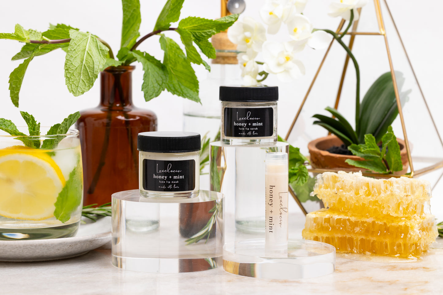Honey + Mint Lip Scrub